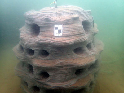 Artificial reef in Poole Harbour