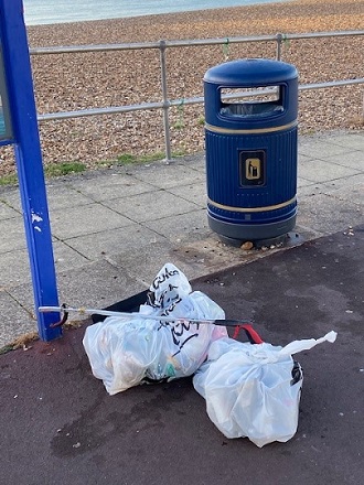 Litter collecting at Southsea